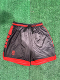 LJ’s Custom Performance Shorts